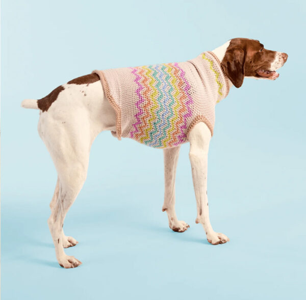 Pawliday Cheer Dog Sweater