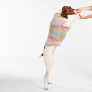 Pawliday Cheer Dog Sweater - Image 2